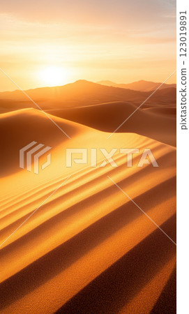 Golden sand dunes at sunset with soft shadows and warm light Golden sand dunes at sunset with soft shadows and warm light 123019891