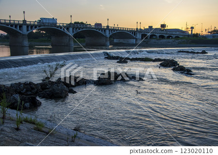 Mukogawa River before dawn and a water bird swimming on the surface 123020110
