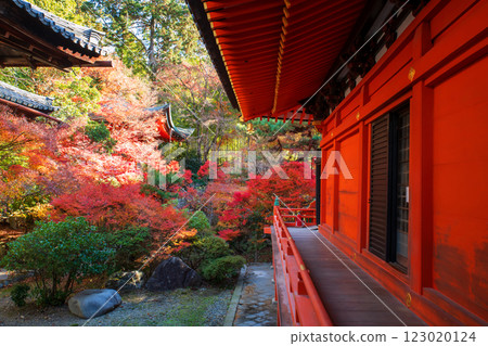 Bishamondo temple walk balcony with autumn foliage garden, Kyoto Bishamondo temple walk balcony with autumn foliage garden, Kyoto 123020124