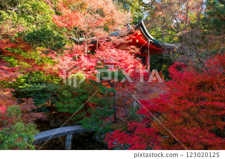 Beautiful pagoda by bridge in fall garden, Bishamondo temple, Kyoto Beautiful pagoda by bridge in fall garden, Bishamondo temple, Kyoto 123020125
