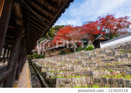 Wood Corridor with autumn maple garden of Hasedera Temple, Nara 123020138