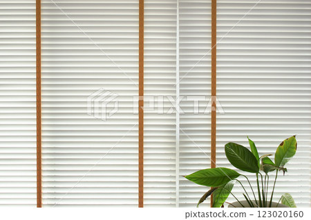white window blinds and green leaf in home, object for decorate interior of house 123020160