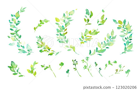 水彩畫。水彩尤加利矢量插圖。用水彩畫的葉子裝飾框架。 123020206