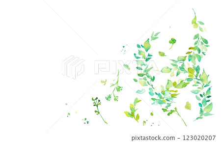 Watercolor. Vector illustration of eucalyptus in watercolor style. Decorative frame of leaves painted in watercolor. Watercolor. Vector illustration of eucalyptus in watercolor style. Decorative frame of leaves painted in watercolor. 123020207