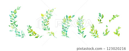 水彩畫。水彩尤加利矢量插圖。用水彩畫的葉子裝飾框架。 水彩畫。水彩尤加利矢量插圖。用水彩畫的葉子裝飾框架。 123020216