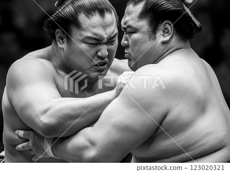 相撲影像 相撲影像 123020321