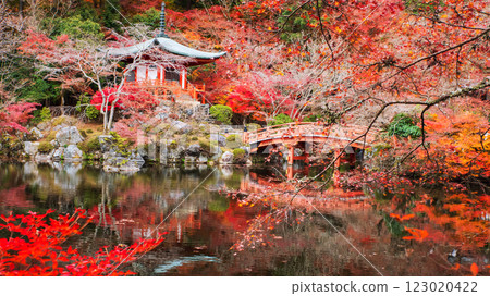 Diagoji pagoda with autumn color and reflection on pond, Kyoto 123020422