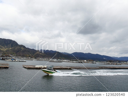 Oyster 123020540