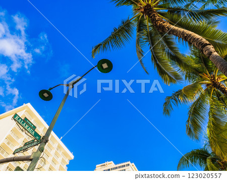 夏威夷圖片：威基基的主要街道，卡拉卡瓦大道 123020557