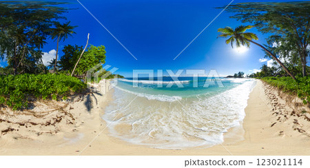 Sandy beach with lush greenery and palm trees, accompanied by calm ocean waves under a clear sky. Praslin, Seychelles. Constance Lemuria Beach. 360 Degree view. 123021114