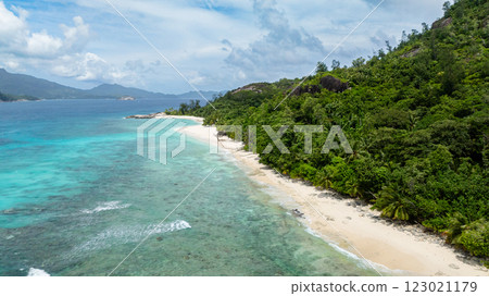 A calm sandy beach surrounded by dense tropical vegetation and palm trees. Seychelles, Therese island. 123021179