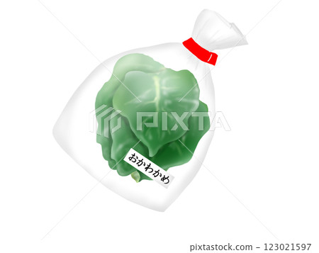 袋子裡的 okawakame 葉子的手繪插圖 123021597