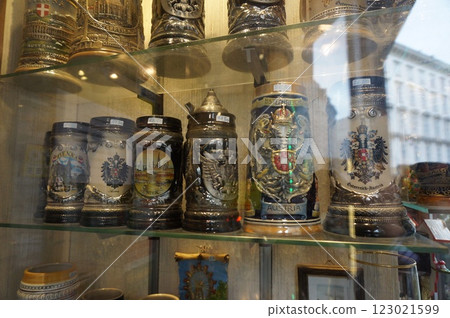 維也納市 123021599