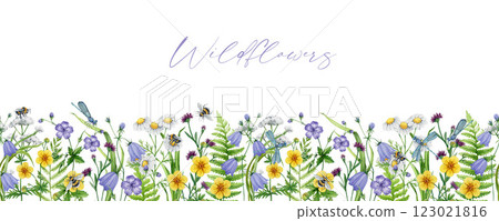 Meadow wildflowers seamless border decor watercolor painted illustration. Hand drawn chamomile, bluebell, bumblebee, dragonfly on blooming summer flowers elegant decoration on white background 123021816