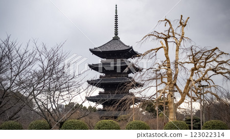 東寺 五重塔 國寶 東寺 國寶 五重塔 建築 寺院及神社 聖地 京都 東寺 五重塔 國寶 東寺 國寶 五重塔 建築 寺院及神社 聖地 京都 123022314