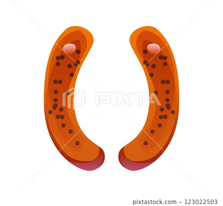 Fast food bun meal alphabet typeface brackets punctuation sign. Street cafe English alphabet font sign, takeaway snack vector alphabet font typeface or fast food pastry bun punctuation mark 123022503