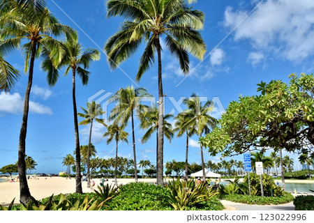 夏威夷的假期 夏威夷的假期 123022996