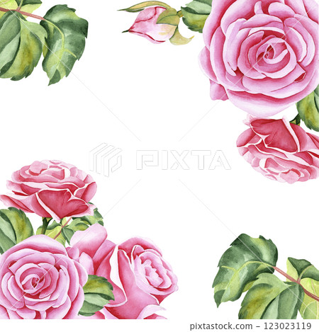 Watercolor roses. Frame of rose flowers, stems, leaves and buds. Hand-drawn watercolor painting on isolated background. Illustration for your design Watercolor roses. Frame of rose flowers, stems, leaves and buds. Hand-drawn watercolor painting on isolated background. Illustration for your design 123023119
