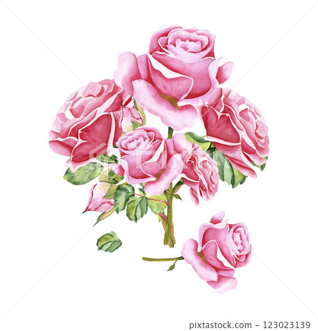 Watercolor roses. Isolated image of rose flowers, stems, leaves and buds. The drawing is done in watercolor technique by hand on an isolated background. Illustration for your design Watercolor roses. Isolated image of rose flowers, stems, leaves and buds. The drawing is done in watercolor technique by hand on an isolated background. Illustration for your design 123023139