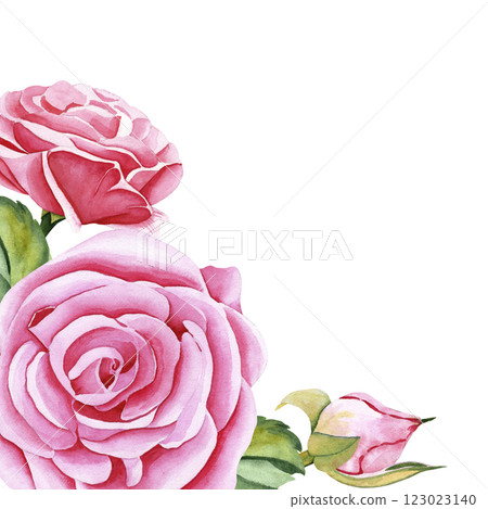 Watercolor roses. Frame of rose flowers, stems, leaves and buds. Hand-drawn watercolor painting on isolated background. Illustration for your design Watercolor roses. Frame of rose flowers, stems, leaves and buds. Hand-drawn watercolor painting on isolated background. Illustration for your design 123023140