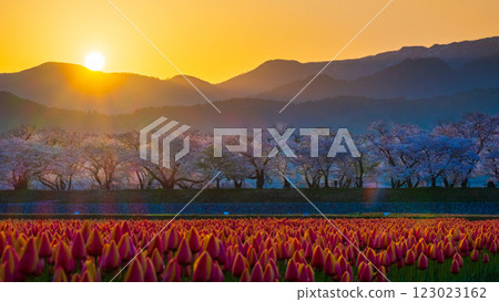 船川朝日(春天/黎明) 船川朝日(春天/黎明) 123023162