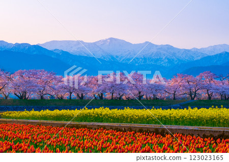 朝日船川春天四重奏 123023165