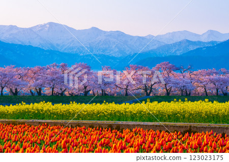 朝日船川春天四重奏 123023175