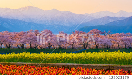 朝日船川春天四重奏 123023179