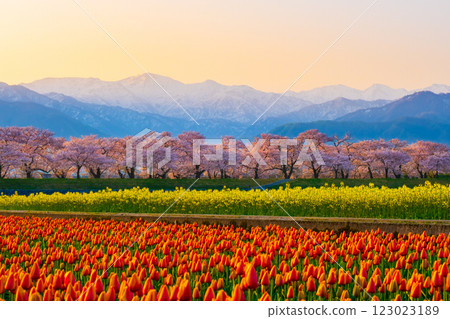 朝日船川春天四重奏 朝日船川春天四重奏 123023189