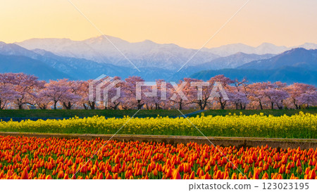 朝日船川春天四重奏 朝日船川春天四重奏 123023195
