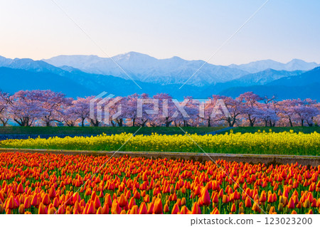 朝日船川春天四重奏 123023200