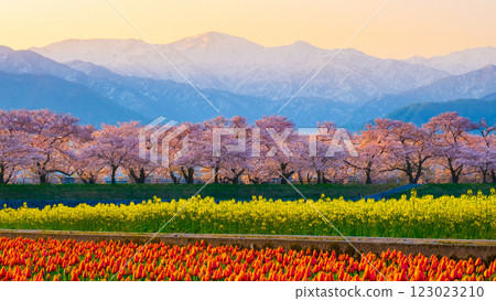 Asahi Funakawa Spring Quartet Asahi Funakawa Spring Quartet 123023210