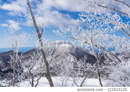 Snow hike on Mount Akagi with sparkling frost-covered trees 123023220