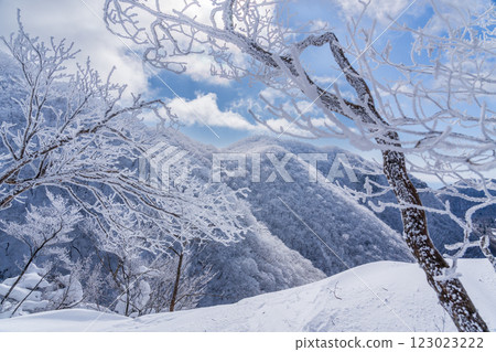 Snow hike on Mount Akagi with sparkling frost-covered trees Snow hike on Mount Akagi with sparkling frost-covered trees 123023222