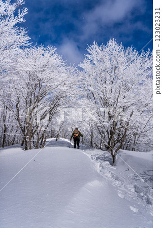 Snow hike on Mount Akagi with sparkling frost-covered trees Snow hike on Mount Akagi with sparkling frost-covered trees 123023231
