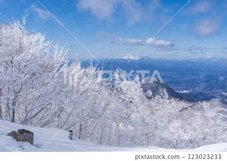 Snow hike on Mount Akagi with sparkling frost-covered trees 123023233