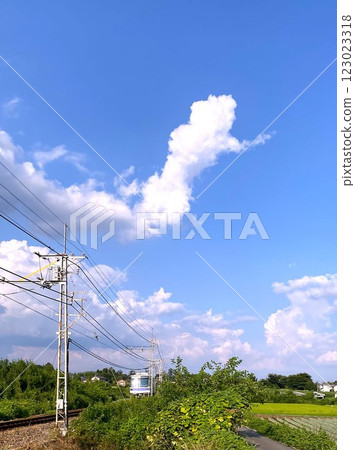 A summer landscape with a train running, a cloud that resembles something, a snake 123023318