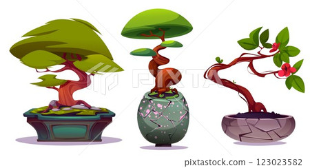 Bonsai trees set isolated on white 123023582