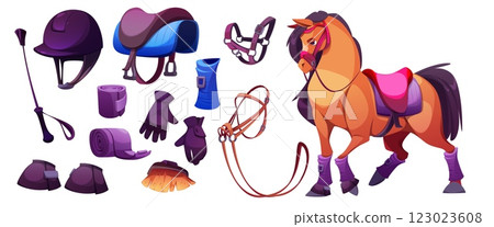 Equestrian items and brown horse 123023608