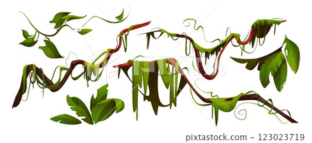 Jungle liana set with twisted green vines 123023719