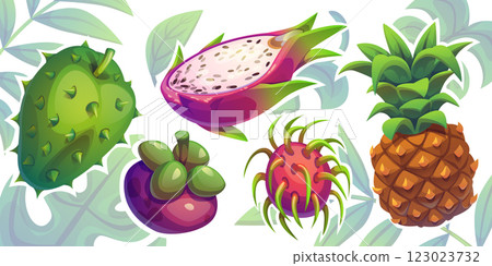 Tropical fruits set 123023732