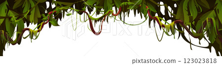 Liana vine arch isolated on white 123023818