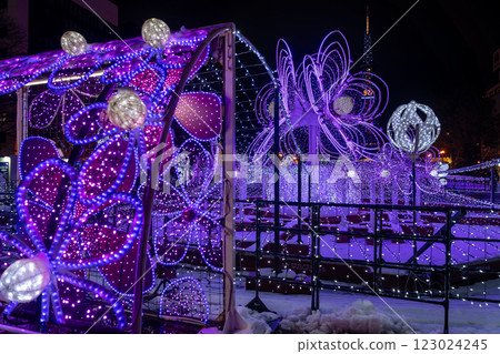 北海道 札幌 燈飾 白色燈飾 冬夜 123024245
