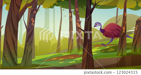 Emu bird running down hill in summer forest Emu bird running down hill in summer forest 123024315