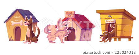 Adopt dog companion in shelter. Homeless stray pet 123024318