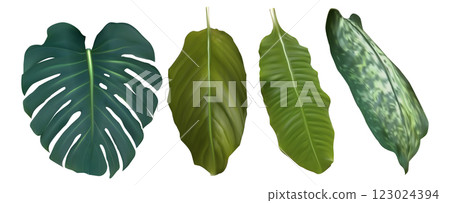Realistic green fresh tropical leaves Realistic green fresh tropical leaves 123024394
