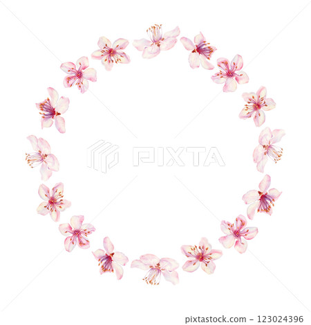 Wreath of sakura flowers isolated on a white background. Spring blooming cherry blossom flowers for Hanami festival. Delicate shades of pink, lilac, violet petals. Watercolor template for card, poster 123024396