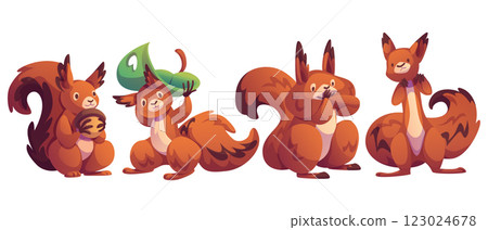 Cute squirrel character set. Cute squirrel character set. 123024678