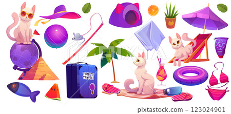 Cute cat and beach accessories set Cute cat and beach accessories set 123024901