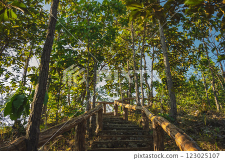 travel and people activity concept with wood ladder and mountain in tropical forest 123025107